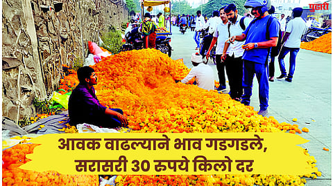 Marigolds news