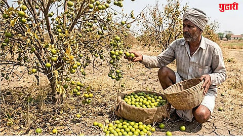 Washim Orange Farmers