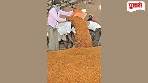 Jalna Tur Market Rate