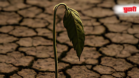 Marathwada News