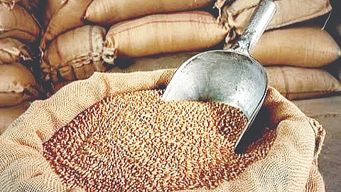 Drought-Hit Talukas Free Food Grains |