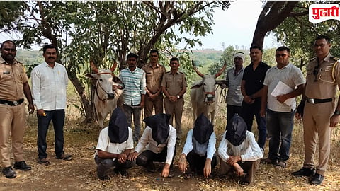 Pahur Police Arrest Thieves