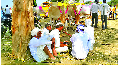 Beed Drought