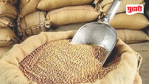 Free Food Grains Scheme