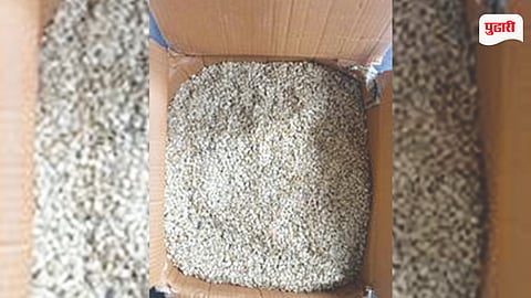 JNPA watermelon seeds seizure