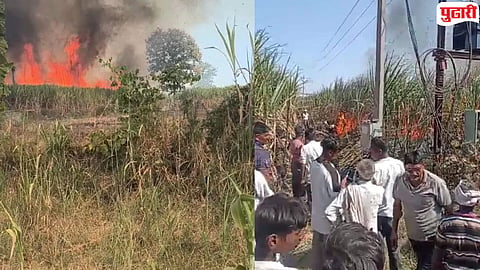 Nanded News : शॉर्टसर्किटमुळे २५ एकरांतील ऊस जळून खाक; उमरखेडजवळील नागेशवाडी शेतशिवारातील घटना