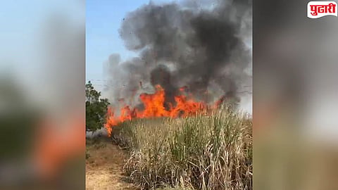 Latur News : बेलगावमध्ये शॉर्टसर्किटमुळे ऊस जळून खाक, दोन शेतकऱ्यांचे साडेचार लाखांचे नुकसान