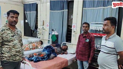 Woman Injured By Tiger