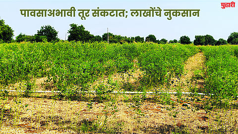 Bhokardan