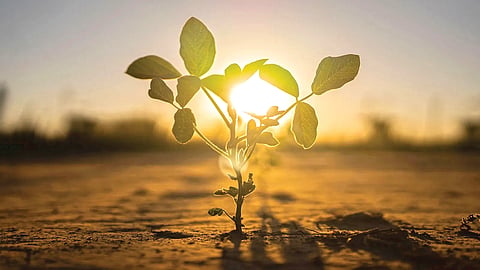 Climate Change Crisis |