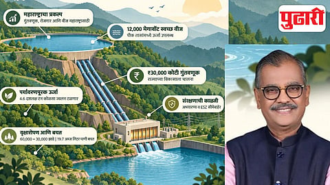 Torrent Power Project