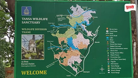 Tansa Wildlife Sanctuary