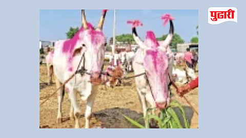 Beed Drought