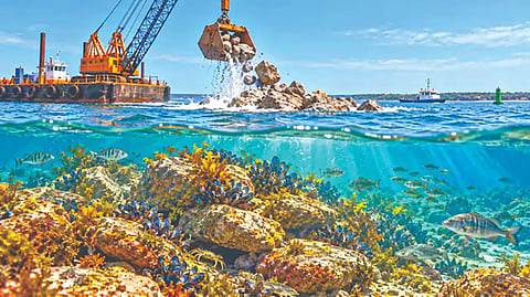 Artificial Reefs
