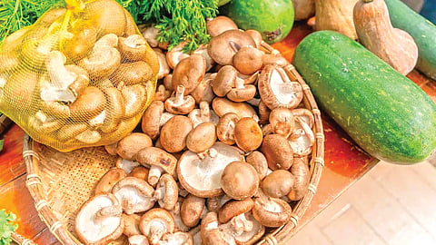 Top Mushroom Producing Country |