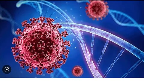 covid 19 virus