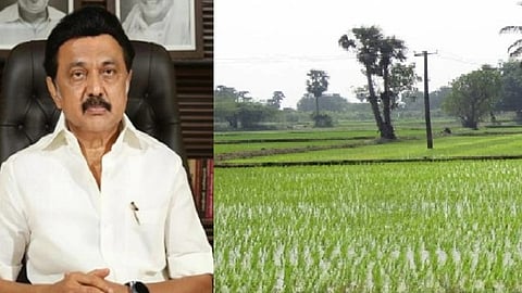 CM Stalin - Delta land
