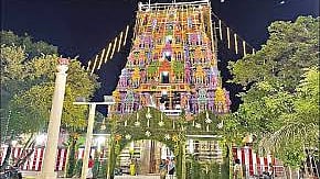 தாடிக்கொம்பு சௌந்தரராஜ பெருமாள் கோவில்