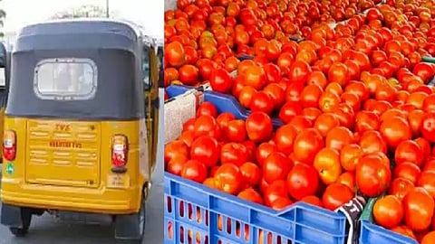 ஆட்டோ, தக்காளி