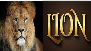 Lion day