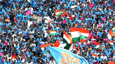 cricket fans