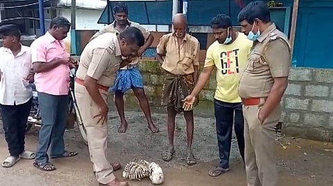 எலும்புக்கூடை கைப்பற்றிய போலீசார்