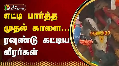அவனியாபுரத்தில் ஜல்லிக்கட்டு