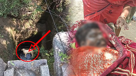 உயிரிழந்த உரிமையாளர்