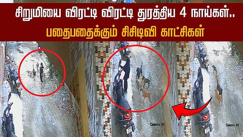நாய்கள்