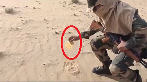 video image