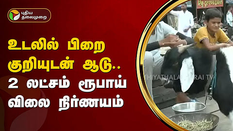 பிறை குறியுடன் கூடிய ஆடு