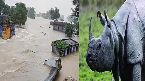 அசாம்