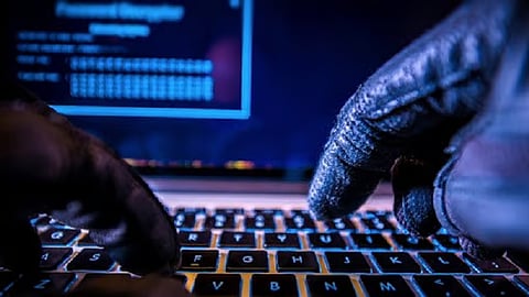 cyber crime