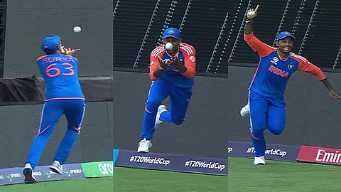 suryakumar catch