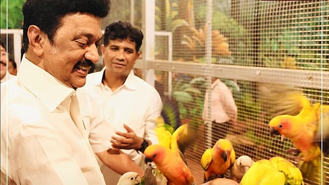 CM Stalin