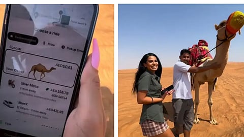 insta video image