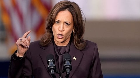 kamala harris running for california governor