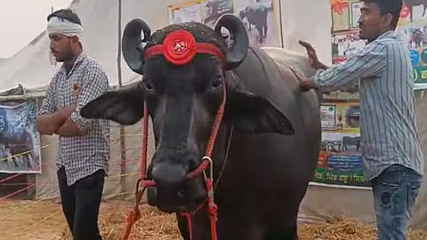 ராஜஸ்தான்