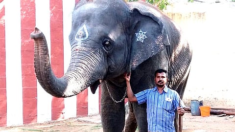 பாகன் உதயகுமார்
