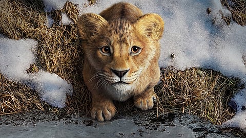 mufasa the lion king