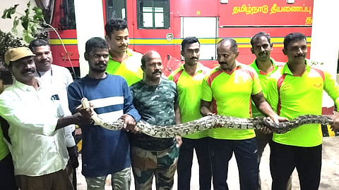 மலை பாம்பு – பத்திரமாக மீட்ட தீயணைப்புத் துறையினர்