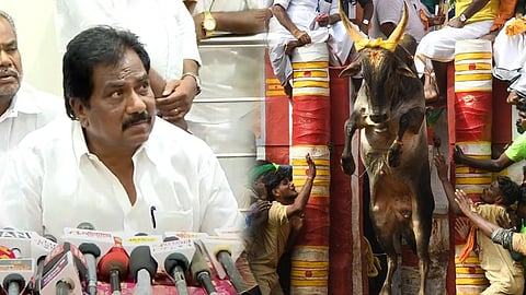 Jallikattu, madurai