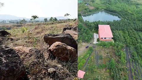 indore man turned barren hill into a forest on 8 years 40,000 trees