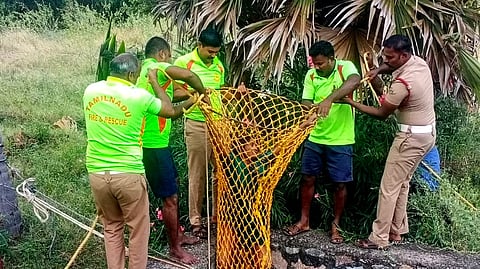 கிணற்றில் தவறி விழுந்த பெண் பத்திரமாக மீட்பு