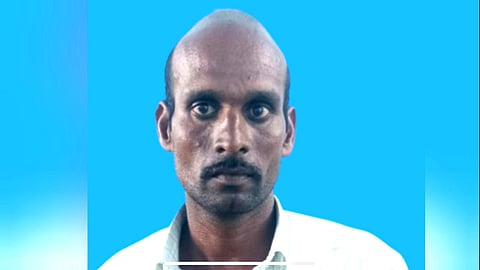 மரங்களை வெட்டி சாய்த்த நபர் கைது