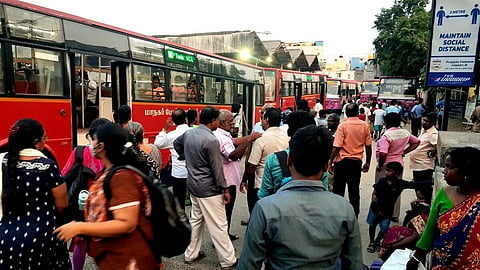 மாநகரப் பேருந்துகள்