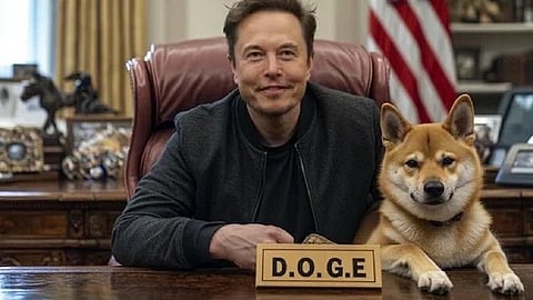 elon musks doge cancel fund on other countries