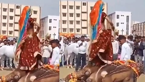 rajasthan women dances while harassing a camel