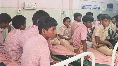 தேனீக்கள் கொட்டியதில் மாணவர்கள் காயம்