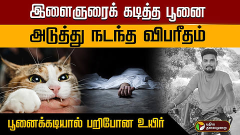 பூனை கடியால் இளைஞர் மரணம்